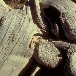 MakeRootsHelp's profile picture. Connect and Collaborate with Service Organizations, Non Profits, People who care, and the Businesses that support it all! Let's work together.