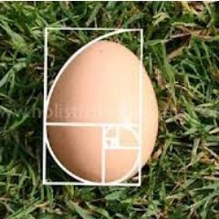 Innellanite's profile picture. Bioinformatician for hire.