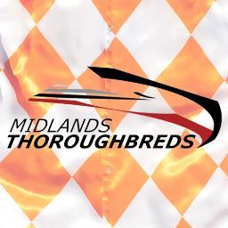 Midlands Thoroughbreds - a magnificent stud farm in the heart of Natal Midlands.