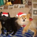 erin cadden - @sisterlovemoon - Twitter