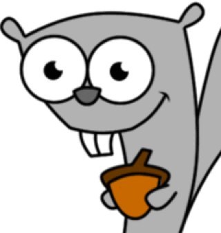 'Experts say a wild, rabbid animal has been seen roaming on twitter. It would be wise to follow it immediatly or you may fall subject to it's rabbid disesse'