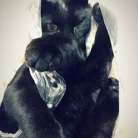 마녀배달부 (@mmmerrygoround) 's Twitter Profile