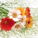 Jay Stanley - @JayStanley13 - Twitter