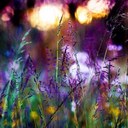 Jess Casper - @Casper3Jess - Twitter