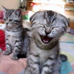 Imakurnia7's profile picture. hoho