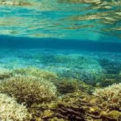 donnaj0hns0n's profile picture. Don’t be afraid your life will end; be afraid that it will never begin. – Grace Hansen