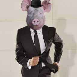 Oink, Oink