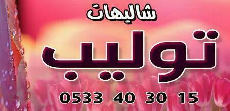 ‏‏شاليهات توليب بالبدائع
للحجز واتس اب
الجوال 0533403015
فضلا لا نستقبل المكالمات
لوحته الارشادية الأولى مقابل قصر رومانس http://t.co/GEUXJMnpYL‎