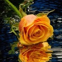 Angel Corey - @AngelCorey2 - Twitter