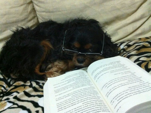 ozZdeNE's profile picture. 