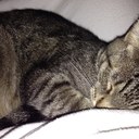 Samantha Dibble - @BriarRose1992 - Twitter