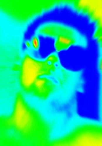 DjArbe96's profile picture. 