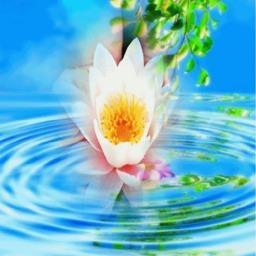 The only thing in life achieved without effort is failure. - Author Unknown