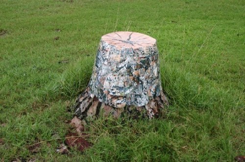 I like Tree Stumps