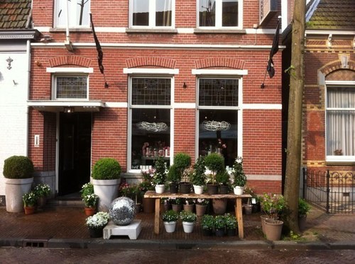 Agapantheinfo's profile picture. 