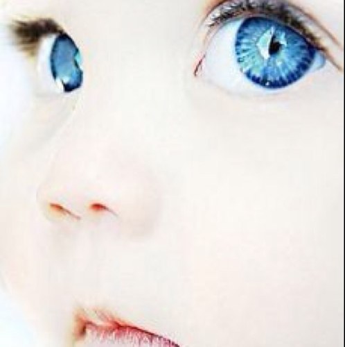 自作のポエムというか、詩というかそんなの読んでます。リプは30分に一回します。フォローは自動なので。言いたいことがあったらコメください。時折、中の人がいきますんで。どう思おうが人の勝手ですけどね。