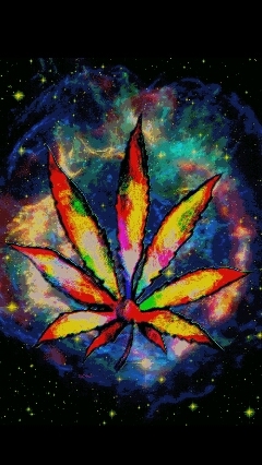We don't just go to high school. We go to school high. ✌ #BakedBitches