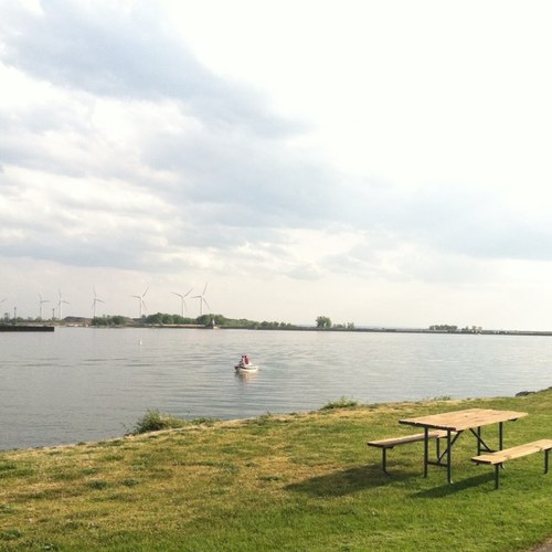 BartNippy's profile picture. 