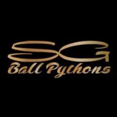 Quality Captive Breed Ball Pythons
