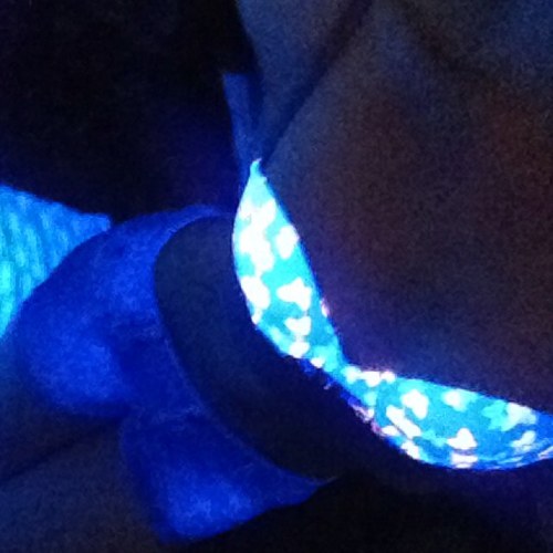 DaBluntPrincess's profile picture. 21 stoner. Italian Leo princess. Duh. Avoiding the drama by making an anon account. Follow me I follow back :) peace love and ganja sexy bitches love you all 3