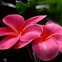 Though no one can go back and make a brand new start, anyone can start from now and make a brand new ending. - Carl Bard