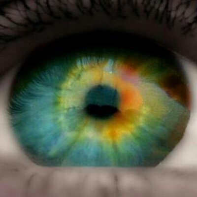 sdediego's profile image