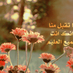 المجداويهه أسماء  (@asmaa_alknahl) Twitter profile photo