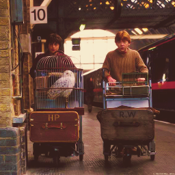 This TL is 100% Harry Potter. ϟ  We #Potterheads want to thank a certain Joanne Rowling for the best time of our lives. ϟ