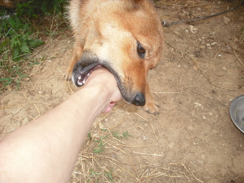 threethemagic's profile picture. 