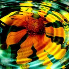 At 20 years of age the will reigns, at 30 the wit, at 40 the judgment. ~ Benjamin Franklin