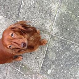 marjanenjo's profile picture. 