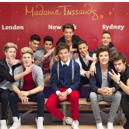 five dutch girls obsessed by one direction :)