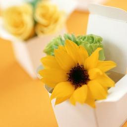 Health is not valued till sickness comes. ~ Dr. Thomas Fuller