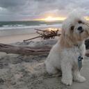 shane scott mcgee - @crazyterrorhawk - Twitter