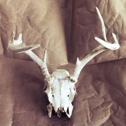 artentrepreneur's profile picture. Artlab33 is a nomadic curatorial initiative working to provide artists with creative partnerships, collaborations, in & beyond the white cube gallery.