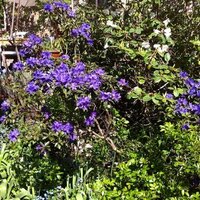 marianne stockmarr (@mstockmarr) 's Twitter Profile Photo