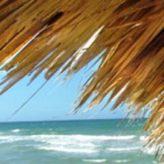 QuotesAndMusing's profile picture. Funny, Inspirational, sarcastic and romantic quotes about life and love.