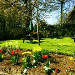 TheWhyteHarte's profile picture. Gastro pub, bletchingley. Fresh food, large selection of wines, cocktails & Beers. Quirky hotel rooms. 01883743231