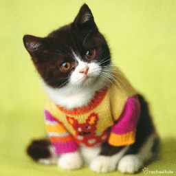 kwinks's profile picture. Serial tea drinker, project manager and lover of cats. That is all.