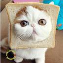 Lena - @lena_hailey - Twitter