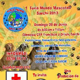 produccionesgyj's profile picture. 