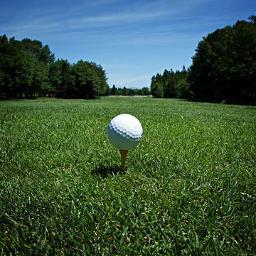 Buy and Sell, New and Used Golfing equipment with no listing fee or final fees. http://t.co/Dz6QuFYadB