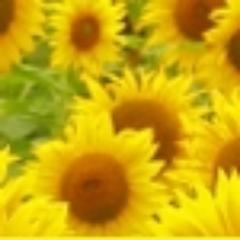 DebiLynneVintag's profile picture. Vintage lover and seller.  I run 4 shops on Etsy; vintage, fabric, craft supplies, and handmade.  Amazing finds of all kinds!