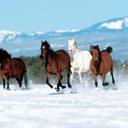 Jenna Saunders - @Jenna32684846 - Twitter