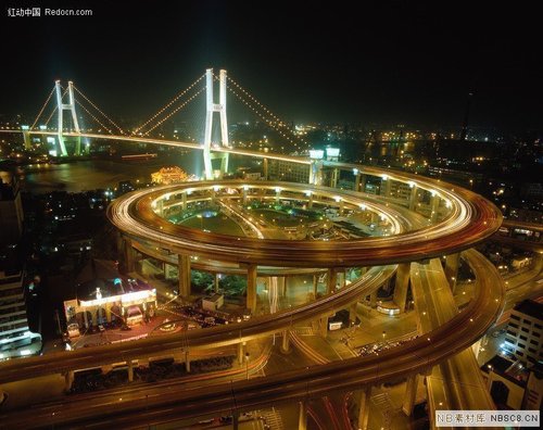 disasterresilie's profile picture. 