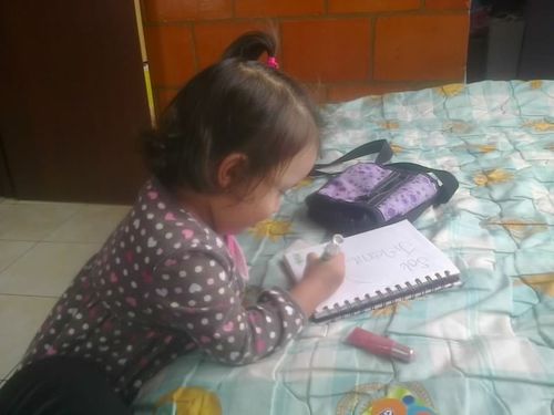 Egresado UN.