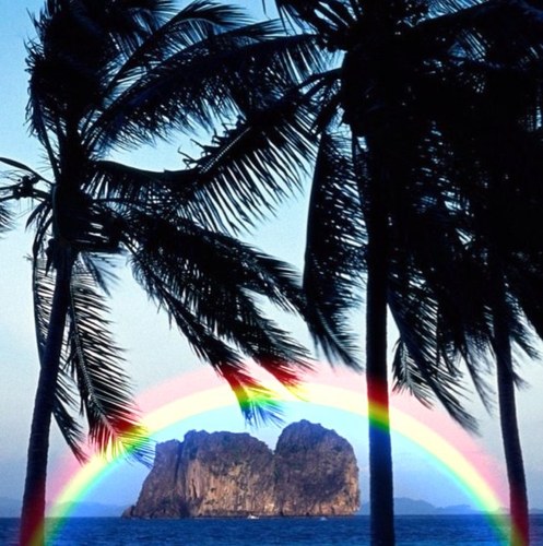 Dream your dreams. Follow your dreams. Live your dreams♥