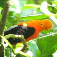 JimRose (@jimrose) 's Twitter Profile Photo