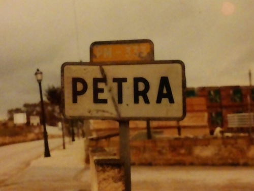 petragoudappel's profile picture. 