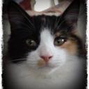 Pam Day - @pjd58 - Twitter